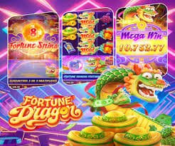 bingoplys
