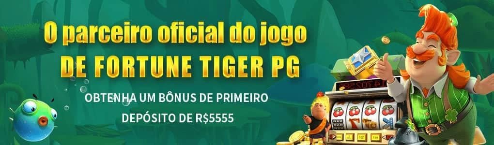 bingoplys